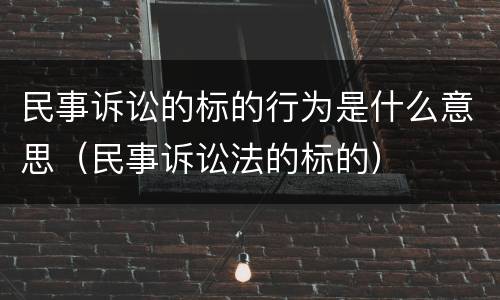 民事诉讼的标的行为是什么意思（民事诉讼法的标的）