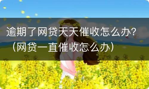 逾期了网贷天天催收怎么办？（网贷一直催收怎么办）