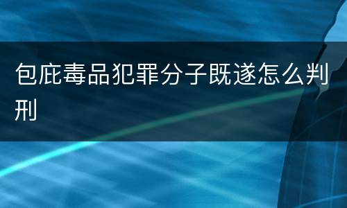 包庇毒品犯罪分子既遂怎么判刑