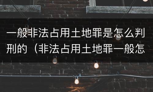 一般非法占用土地罪是怎么判刑的（非法占用土地罪一般怎么判决）