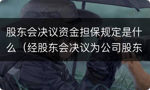 股东会决议资金担保规定是什么（经股东会决议为公司股东提供担保）