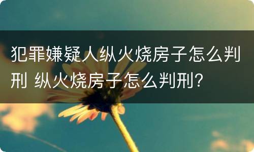 犯罪嫌疑人纵火烧房子怎么判刑 纵火烧房子怎么判刑?