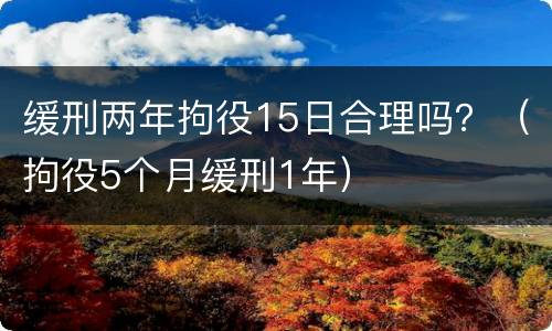 缓刑两年拘役15日合理吗？（拘役5个月缓刑1年）