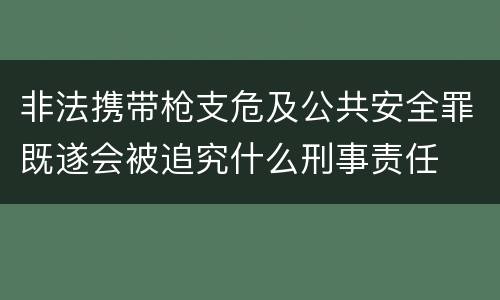 非法携带枪支危及公共安全罪既遂会被追究什么刑事责任