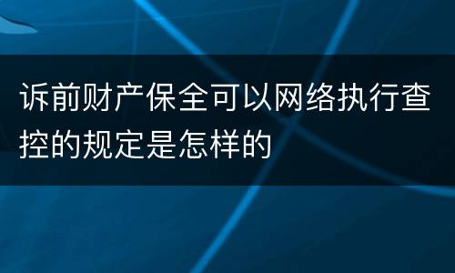 诉前财产保全可以网络执行查控的规定是怎样的