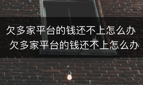 欠多家平台的钱还不上怎么办 欠多家平台的钱还不上怎么办