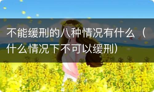 不能缓刑的八种情况有什么（什么情况下不可以缓刑）
