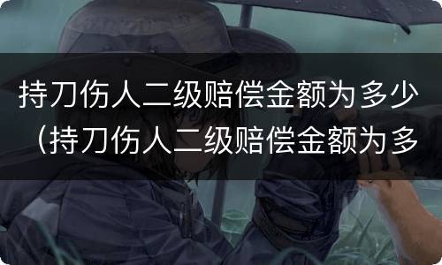 持刀伤人二级赔偿金额为多少（持刀伤人二级赔偿金额为多少钱）