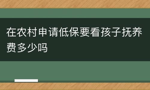 在农村申请低保要看孩子抚养费多少吗
