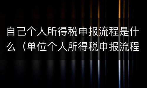 自己个人所得税申报流程是什么（单位个人所得税申报流程）