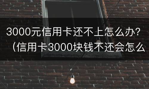 3000元信用卡还不上怎么办？（信用卡3000块钱不还会怎么样）