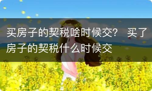 买房子的契税啥时候交？ 买了房子的契税什么时候交