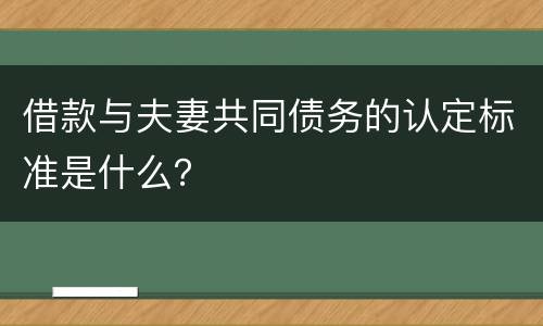 借款与夫妻共同债务的认定标准是什么？