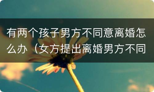 有两个孩子男方不同意离婚怎么办（女方提出离婚男方不同意怎么办有2个小孩）
