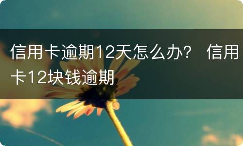 信用卡逾期12天怎么办？ 信用卡12块钱逾期