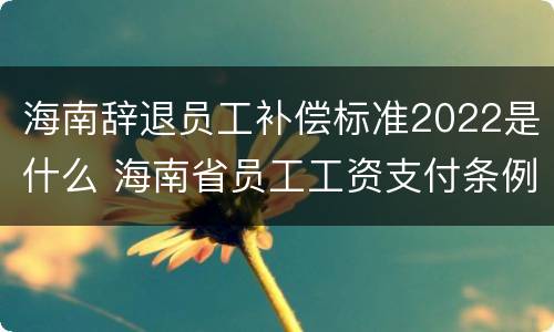 海南辞退员工补偿标准2022是什么 海南省员工工资支付条例