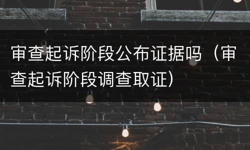 审查起诉阶段公布证据吗（审查起诉阶段调查取证）