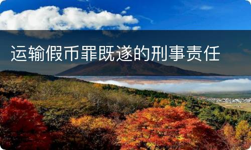 运输假币罪既遂的刑事责任