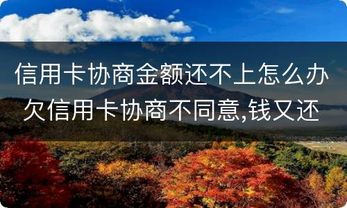 信用卡协商金额还不上怎么办 欠信用卡协商不同意,钱又还不了