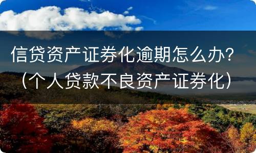 信贷资产证券化逾期怎么办？（个人贷款不良资产证券化）