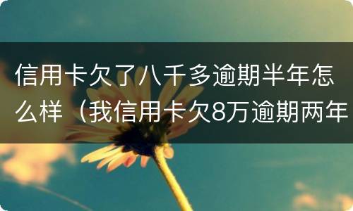 信用卡欠了八千多逾期半年怎么样（我信用卡欠8万逾期两年）