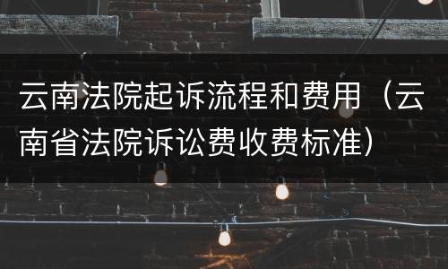 云南法院起诉流程和费用（云南省法院诉讼费收费标准）