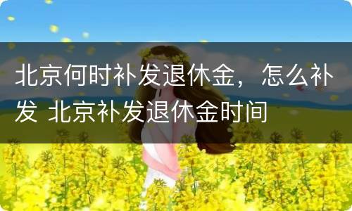 北京何时补发退休金，怎么补发 北京补发退休金时间