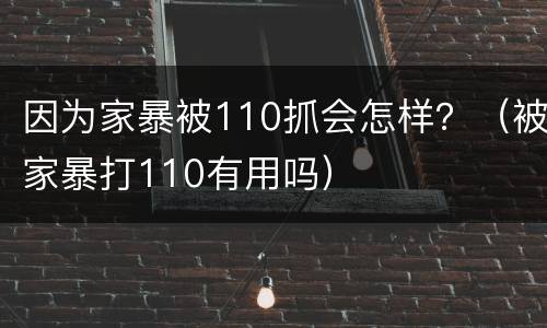 因为家暴被110抓会怎样？（被家暴打110有用吗）