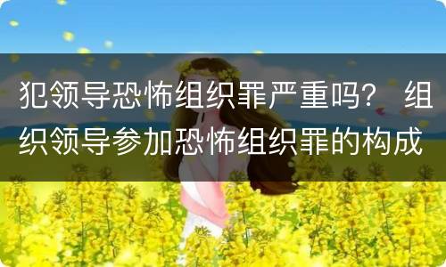 犯领导恐怖组织罪严重吗？ 组织领导参加恐怖组织罪的构成要件