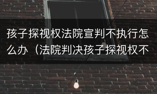 孩子探视权法院宣判不执行怎么办（法院判决孩子探视权不履行怎么办）