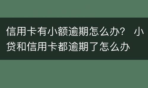 信用卡有小额逾期怎么办？ 小贷和信用卡都逾期了怎么办