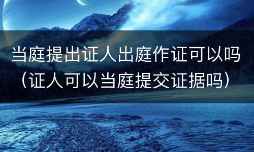 当庭提出证人出庭作证可以吗（证人可以当庭提交证据吗）