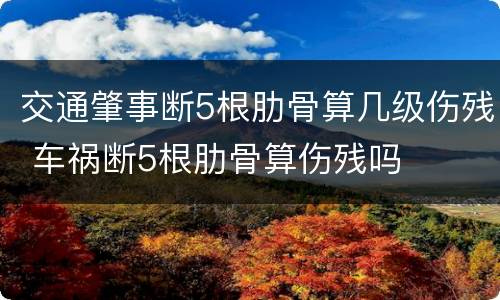 交通肇事断5根肋骨算几级伤残 车祸断5根肋骨算伤残吗