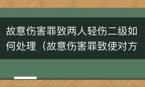 故意伤害罪致两人轻伤二级如何处理（故意伤害罪致使对方二级轻伤怎么判）