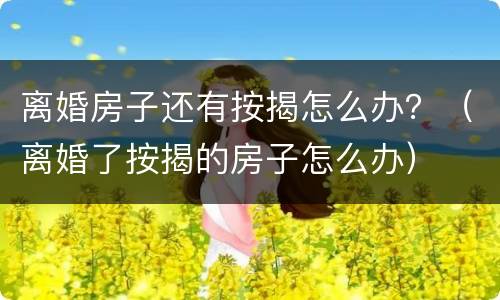 离婚房子还有按揭怎么办？（离婚了按揭的房子怎么办）