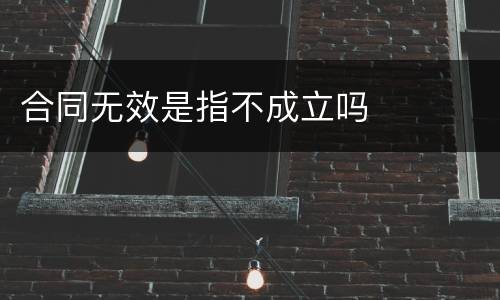 合同无效是指不成立吗