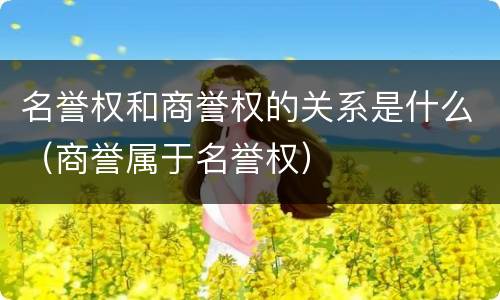 名誉权和商誉权的关系是什么（商誉属于名誉权）
