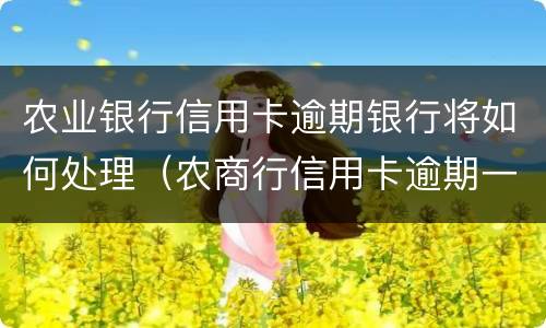 农业银行信用卡逾期银行将如何处理（农商行信用卡逾期一天会有不良记录吗）