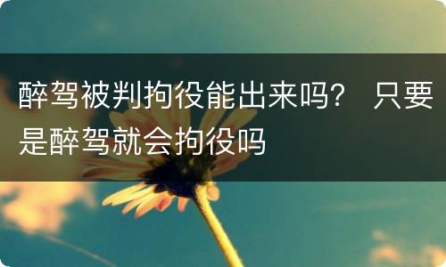 醉驾被判拘役能出来吗？ 只要是醉驾就会拘役吗