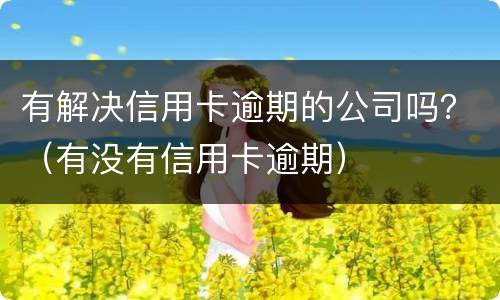 有解决信用卡逾期的公司吗？（有没有信用卡逾期）