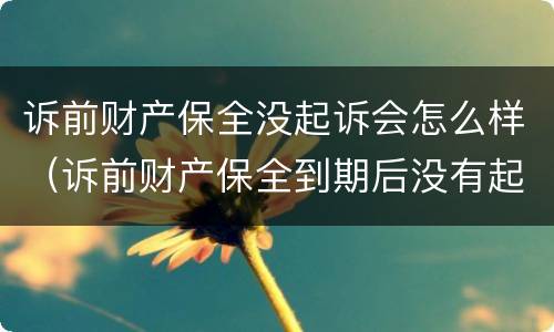 诉前财产保全没起诉会怎么样（诉前财产保全到期后没有起诉）