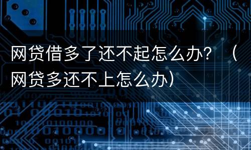 网贷借多了还不起怎么办？（网贷多还不上怎么办）