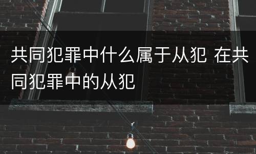 共同犯罪中什么属于从犯 在共同犯罪中的从犯