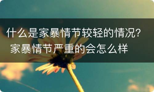 什么是家暴情节较轻的情况？ 家暴情节严重的会怎么样