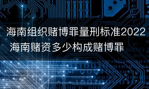 海南组织赌博罪量刑标准2022 海南赌资多少构成赌博罪