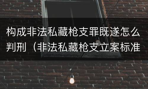 构成非法私藏枪支罪既遂怎么判刑（非法私藏枪支立案标准）
