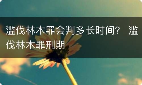 滥伐林木罪会判多长时间？ 滥伐林木罪刑期
