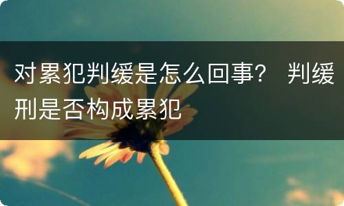 对累犯判缓是怎么回事？ 判缓刑是否构成累犯