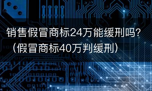 销售假冒商标24万能缓刑吗？（假冒商标40万判缓刑）