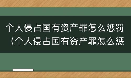 个人侵占国有资产罪怎么惩罚（个人侵占国有资产罪怎么惩罚的）